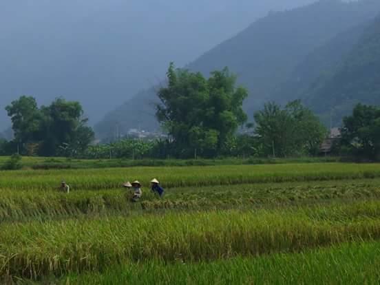 Linh Soi Homestay Mai Châu Luaran gambar