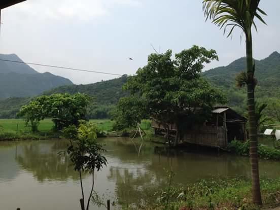 Linh Soi Homestay Mai Châu Luaran gambar